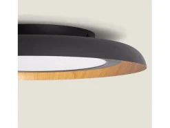 Plafón de Techo LED 30W Metal Garter Negro Mate