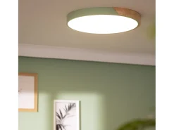 Plafón LED 36W Circular Madera Ø500 mm CCT Seleccionable Semi-Dari Verde