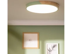 Plafón LED 36W Circular Madera Ø500 mm CCT Seleccionable Semi-Dari Verde