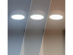 Plafón LED 12W Circular SwitchCCT Seleccionable Ø170 mm Regulación Compatible con Mando RF V2 Seleccionable (Cálido-Neutro-Frío)