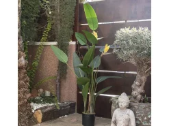 Planta artificial ave del paraiso flor 185 cm nortene 185 CM