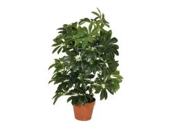 Planta artificial cheflera 65 cm 65CM