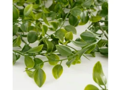 Planta artificial colgante de Polipropileno - 24 x 10 x 81 - Verde - FICUS