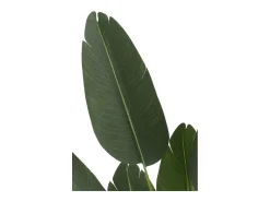 Planta artificial de plástico verde 33x33x165cm