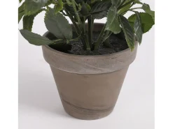 Planta artificial de Poliéster y terracota - Ø25 x 33 - Blanco - ROSEBUSH
