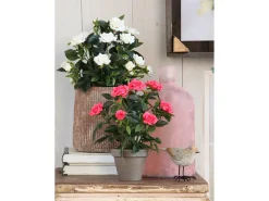 Planta artificial de Poliéster y terracota - Ø25 x 33 - Blanco - ROSEBUSH