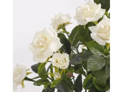 Planta artificial de Poliéster y terracota - Ø25 x 33 - Blanco - ROSEBUSH