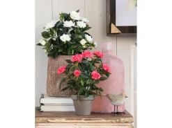 Planta artificial de Poliéster y terracota - Ø25 x 33 - Blanco - ROSEBUSH