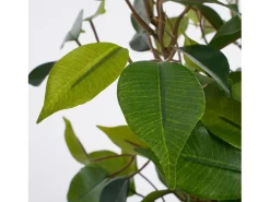 Planta artificial de Poliéster y terracota - Ø30 x 40 - Verde - FICUS NATASJA
