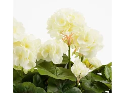 Planta artificial de Poliéster y cemento con arena - 29 x 13 x 40 - Blanco - GERANIUM