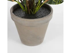 Planta artificial de Poliéster y terracota - 73 x Ø40 - Verde - CROTON