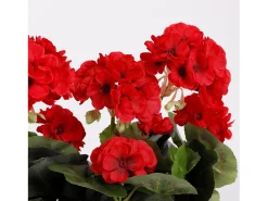 Planta artificial de Poliéster y cemento con arena - 29 x 13 x 40 - Rojo - GERANIUM