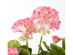 Planta artificial de Poliéster y terracota - 34 x Ø20 - Rosa - GERANIUM