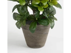 Planta artificial de Poliéster y terracota - 27 x Ø20 - Blanco - AZALEA