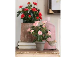 Planta artificial de Poliéster y terracota - Ø25 x 33 - Rojo - ROSEBUSH