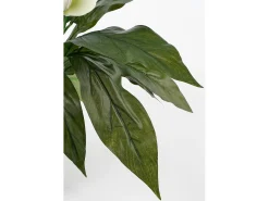 Planta artificial de Poliéster y terracota - 50 x Ø40 - Blanco - SPATHIPHYLLUM