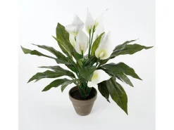 Planta artificial de Poliéster y terracota - 50 x Ø40 - Blanco - SPATHIPHYLLUM