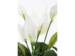 Planta artificial de Poliéster y terracota - 50 x Ø40 - Blanco - SPATHIPHYLLUM