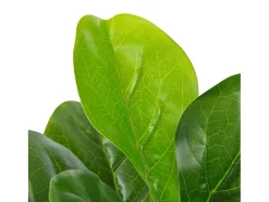Planta artificial ficus con macetero 90 cm verde ES730167