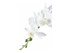 Planta artificial Orquídea verde y blanca 49 cm