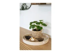 Planta artificial Pilea Planta china del dinero verde 28 cm