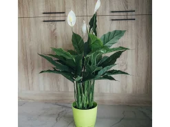 Planta artificial vela del viento 105 cm nortene 105CM