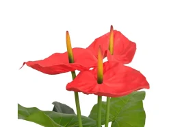 Planta de anturio artificial con maceta 90 cm roja y amarilla ES494303