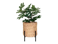 Plantador redondo en jacinto de agua marrón y negra 26.5 x 26.5 x 28 cm