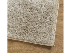 Prolenta Premium - Alfombra pelo largo aspecto brillante ISTAN beige 120x170 cm