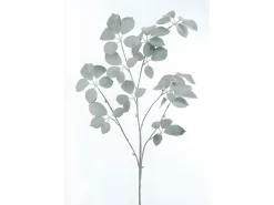 Rama de schefflera cubierta de plástico verde 4x35x120 cm