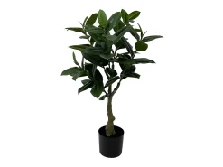 Árbol de caucho artificial - Verde