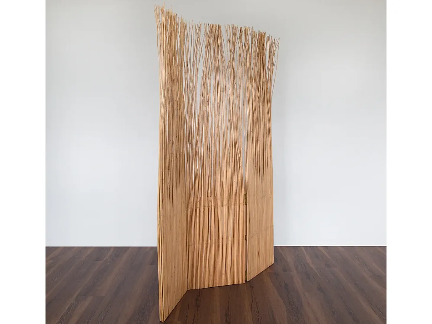 Separador de ambiente 120x170x3 cm natural