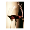 Set de 2 copas Open Up Universal Tasting 40 cl para todo tipo de vino