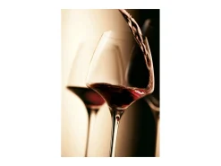 Set de 2 copas Open Up Universal Tasting 40 cl para todo tipo de vino
