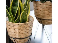 Set de 2 maceteros Jacinto MOA Vinthera natural