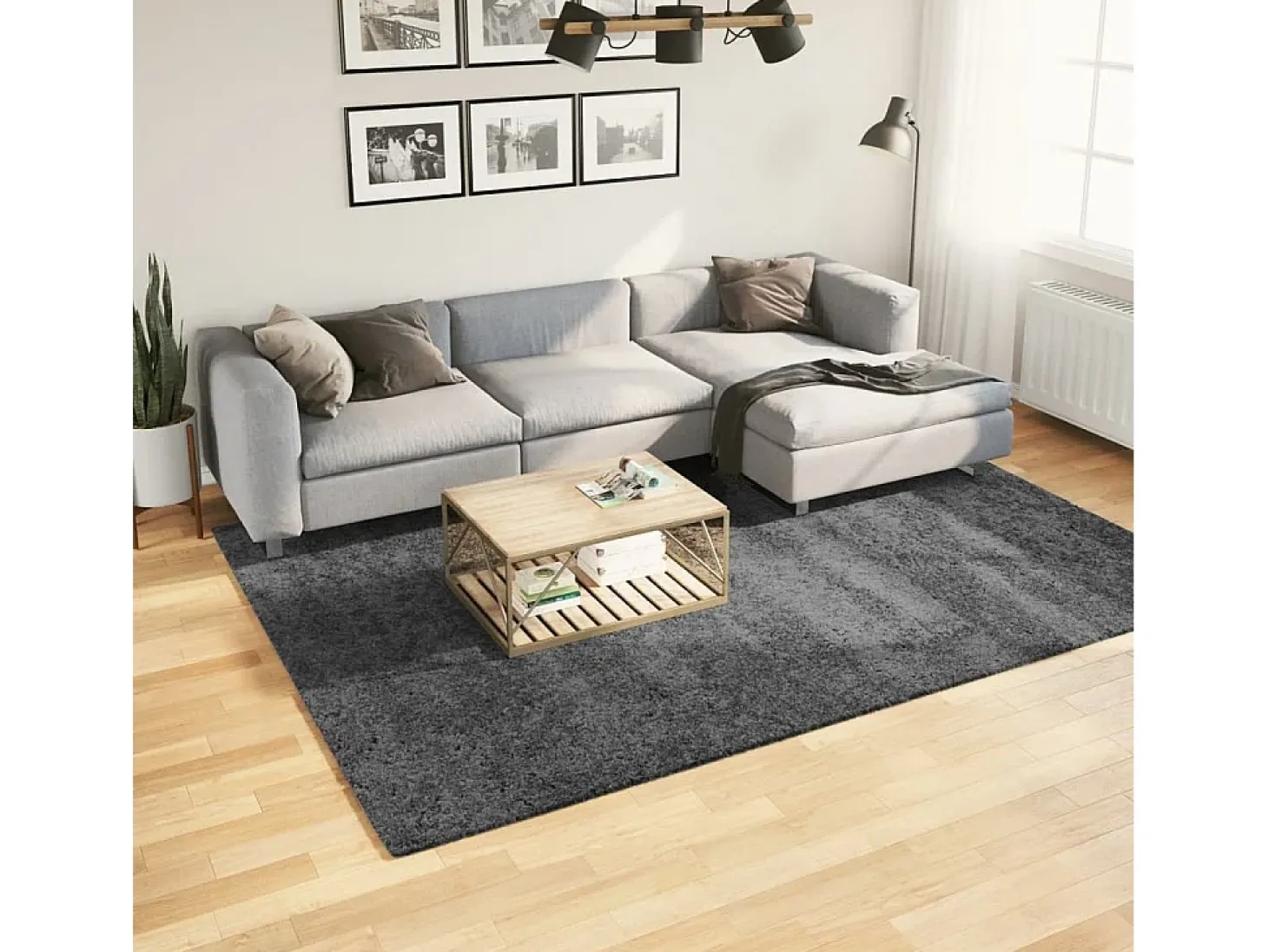 Sinto Alfombra de pelo corto OVIEDO gris antracita 200x280 cm