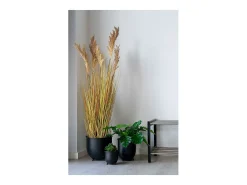 Sudán artificial Sorgho 110 cm