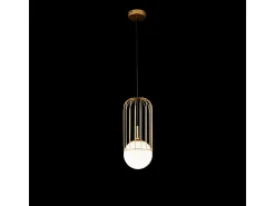 Telford Lámpara Colgante de Techo Cage Oro, 1 Luz, E27